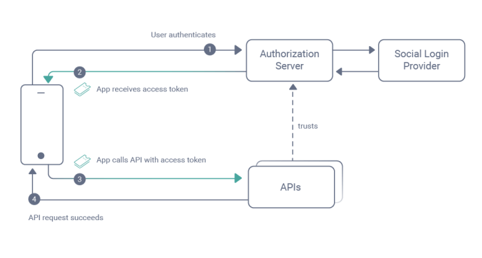 Secure API integration