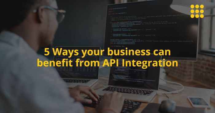 Secure API integration