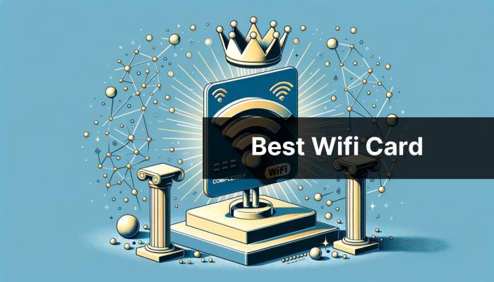 Wi-fi card for smartphone