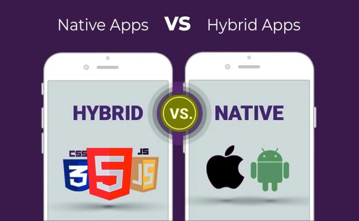 Native vs Hybrid Apps: Which One Is Right for You?