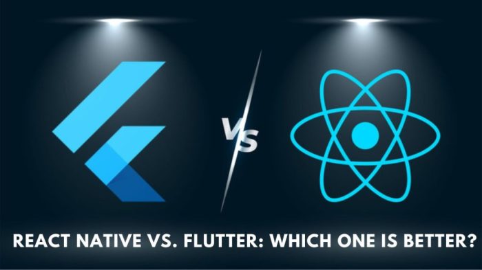 Flutter vs React Native: Which Is Better for Your App?