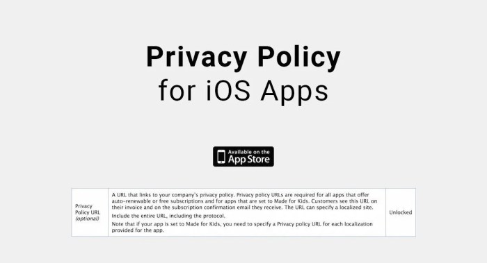 Privacy policies for mobile apps